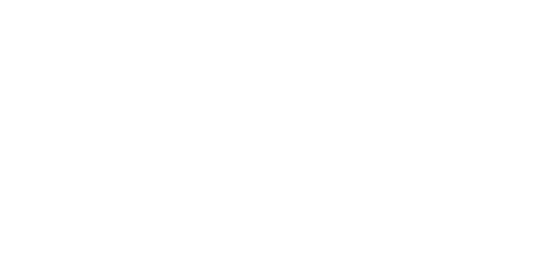 FIB